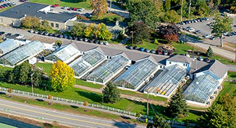 Macfarlane Greenhouses