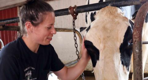 A photo of Rachel Dubanoski with a cow at Fairchild Dairy and Research Center
