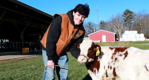 A photo of Fairchild Dairy lead farm worker Tim Cahill. Tim is a white male. In the photo, he has dark brown hair. He wears a black longsleeve shirt, a tan vest and blue jeans. He holds a length of rope tied around the nose of a white and brown calf.