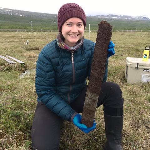 Soil core sample