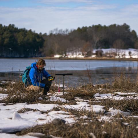 Coastal resiliency