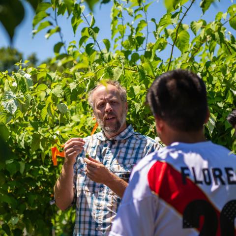 Dr. Iago Hale demonstrating kiwiberries